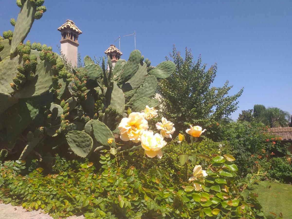 Villa Vittorio Infernetto Екстериор снимка